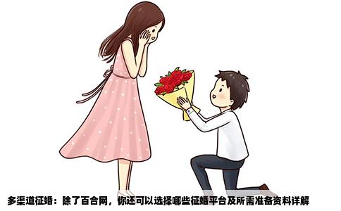 多渠道征婚：除了百合网，你还可以选择哪些征婚平台及所需准备资料详解