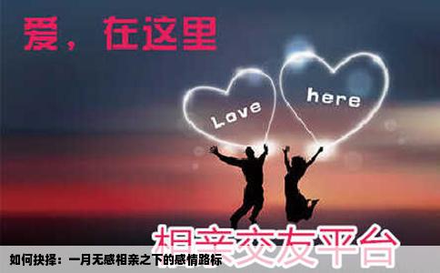 如何抉择：一月无感相亲之下的感情路标