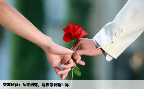 交友秘籍：从零到有，解锁恋爱新世界