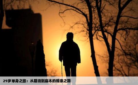 29岁单身之旅：从期待到麻木的相亲之路