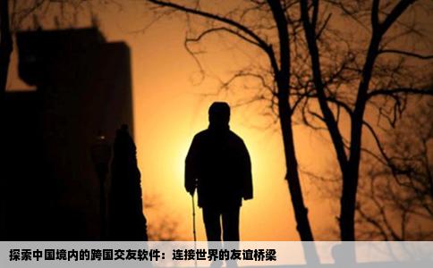 探索中国境内的跨国交友软件：连接世界的友谊桥梁