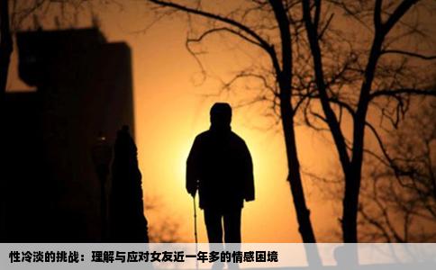 性冷淡的挑战：理解与应对女友近一年多的情感困境