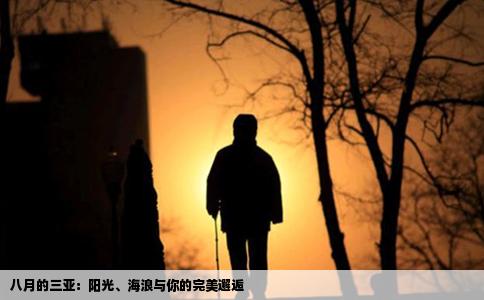 八月的三亚：阳光、海浪与你的完美邂逅