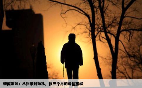 速成婚姻：从相亲到婚礼，仅三个月的爱情旅程