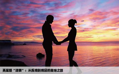 两星期“逆袭”：从拒绝到挽回的趣味之旅