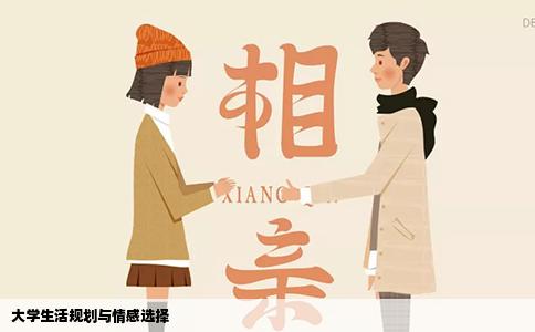 大学生活规划与情感选择