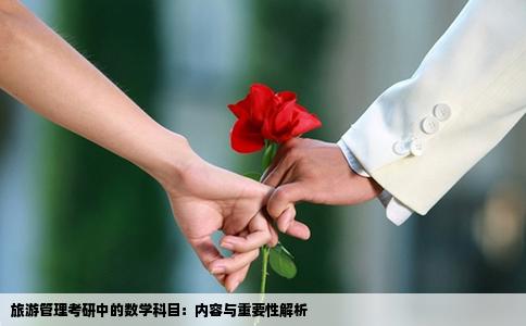 旅游管理考研中的数学科目：内容与重要性解析