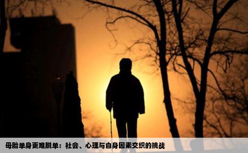 母胎单身更难脱单：社会、心理与自身因素交织的挑战