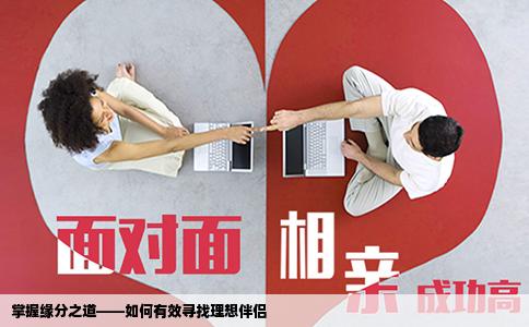 掌握缘分之道——如何有效寻找理想伴侣