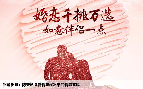 相爱相知：陈奕迅《爱情转移》中的情感共鸣