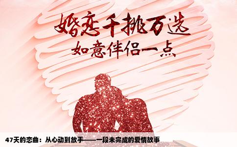 47天的恋曲：从心动到放手——一段未完成的爱情故事